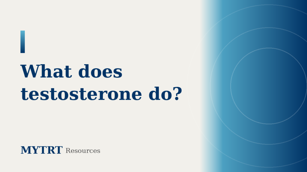 What does testosterone do featured